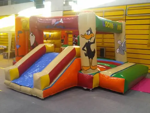 CASTILLO HINCHABLE WARNER, hinchable en alquiler
