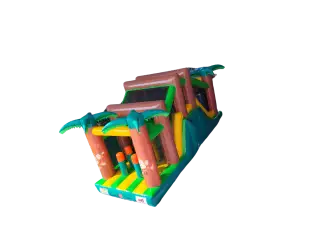 CASTILLO HINCHABLE PISTA AMERICANA SELVA GRANDE (4)